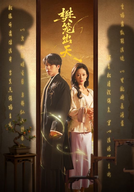 灰影特工
